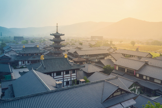 最是江南好风景 无锡赏樱正当时