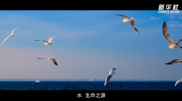 微视频｜谱写全球湿地保护新篇章
